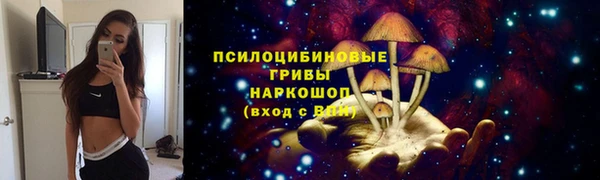 прущие грибы Киренск