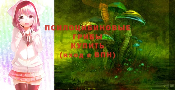 метадон Козельск