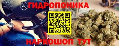 индика Донецк