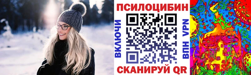 хочу наркоту Муром Галлюциногенные грибы Psilocybine cubensis