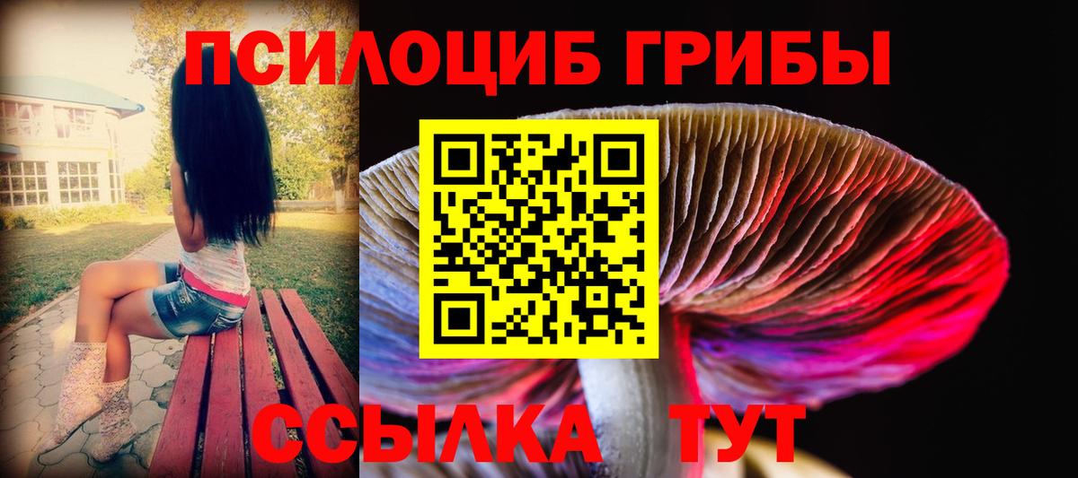 Галлюциногенные грибы Magic Shrooms Муром