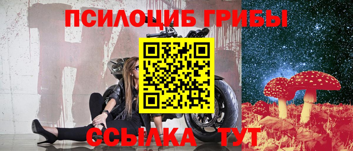 Муром  Псилоцибиновые грибы Psilocybe  Вход с VPN 